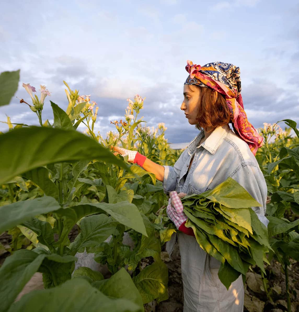 Tobacco compliance challenges